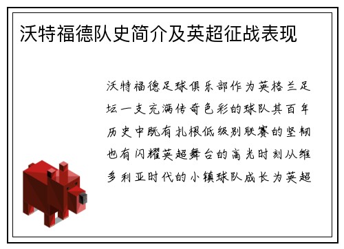 沃特福德队史简介及英超征战表现