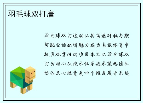 羽毛球双打唐